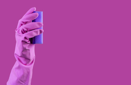 Hand in purple rubber glove holding violet washing sponge for cleaning. Banner background with copy space for text.の写真素材