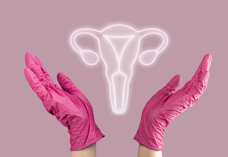 Womb organ diagnostic and health care concept.の写真素材
