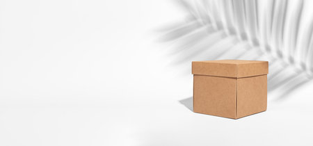 Beige brown carton box, kraft eco package of square shape, palm leaf shadow. Banner background.