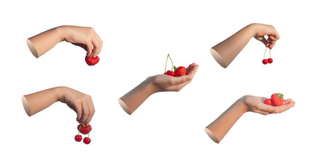 Kids hand holding sweet summer berries, red cherry and strawberry isolated on white background, set.の写真素材