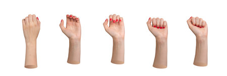 Hand clenching fist, closing process from open palm to closed, process set, gesture, sign isolated on white background.の写真素材