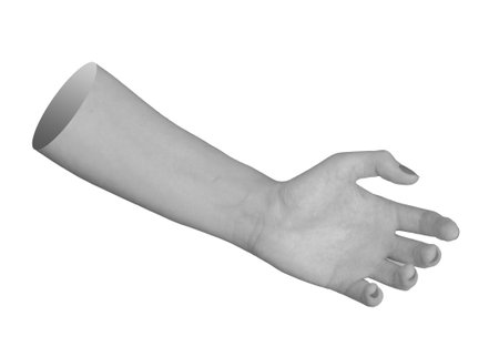 Open female hand in reaching position, palmar view, fingers outstretched in monochrome gesture,...