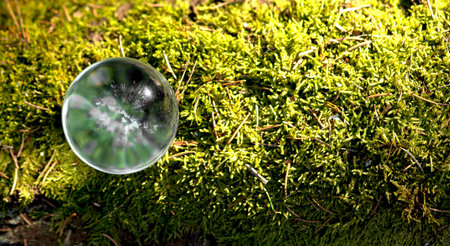 Green globe with crystal clear glass, symbolizing the protection of Earth and nature. Eco friendly concept of conservation, recycling, and saving the planet. Fresh energy, sunlight, and vitality for aの写真素材