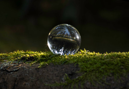 Glass globe representing Earth and nature. Transparent sphere symbolizing eco consciousness, conservation, and global care. Reflecting the environment, plant life, and sustainable development,の写真素材