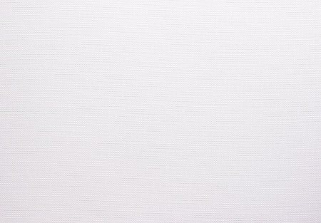 Elegant white paper texture with fine, subtle lines and a smooth surface. The grayscale macro closeup captures the refined structure, ideal as a backdrop for art, documents, or minimalist designs.の写真素材