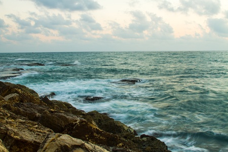 Jaffa shore 2013
