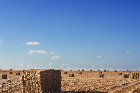 Hay bales on the field after harvest against the blue sky .