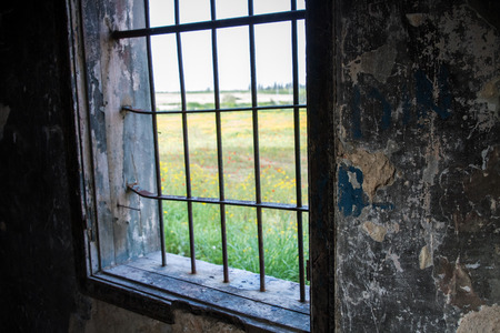 A beautiful view of summer from the old window .