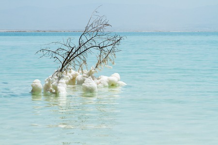 Beautiful photo coast of the Dead Sea , Israel . Bokeh .の写真素材