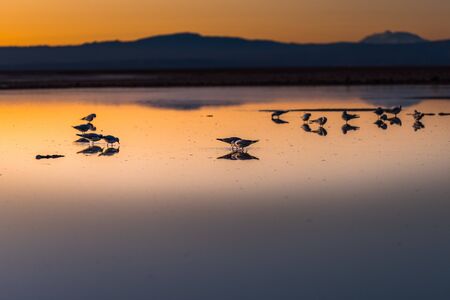 a dark nigh on san pedro de atacamaの写真素材