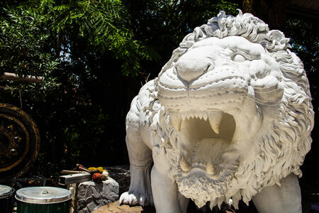 White lion statue in Wat Pa Thamma Utthayan, Khonkean, Thailandの写真素材