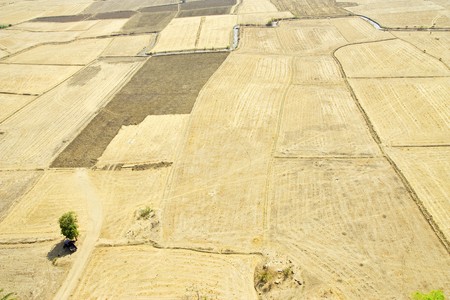 Field with no rain in dry season.