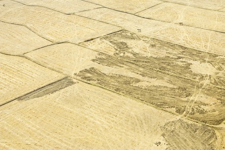 Field with no rain in dry season.の写真素材