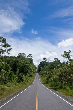Road in forest, Kao Yai national park, Thailandの写真素材