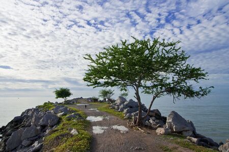 Stone jetty of Cha Am bay, Thailandの写真素材