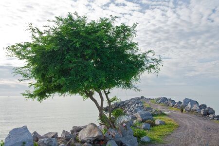 Stone jetty of Cha Am bay, Thailandの写真素材