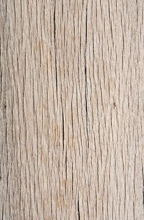 Texture of old tropical woodの写真素材