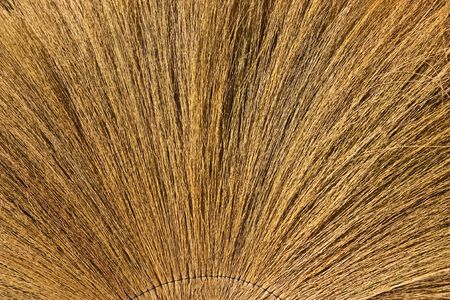 Native Thai grass broomの写真素材