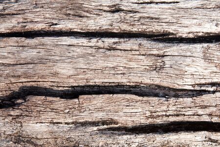 Texture of old teak woodの写真素材