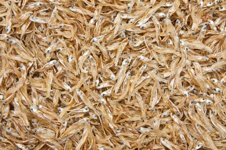 Dried fishの写真素材