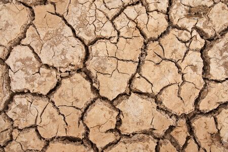 Broaken soil in dry season