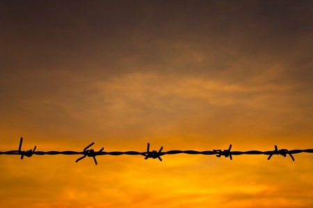 Barbwire and morning skyの写真素材