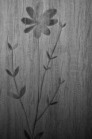 Texture of modern office wallの写真素材