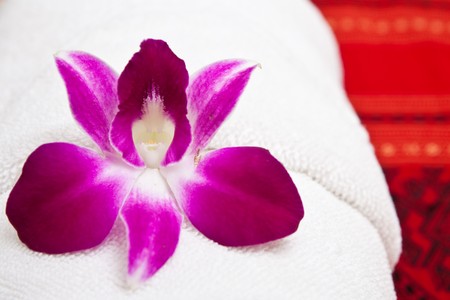 Cattleya orchid on native Thai style clothの写真素材