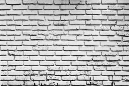 Pattern of old white brick wallの写真素材