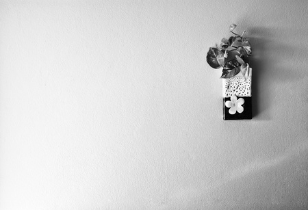 flower jug on wall