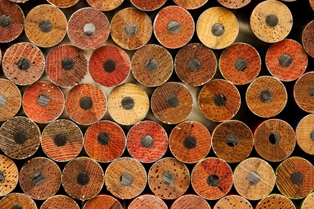 New unsharpen pencilsの写真素材