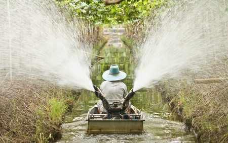 Agriculturist watering in grape gardenのeditorial素材