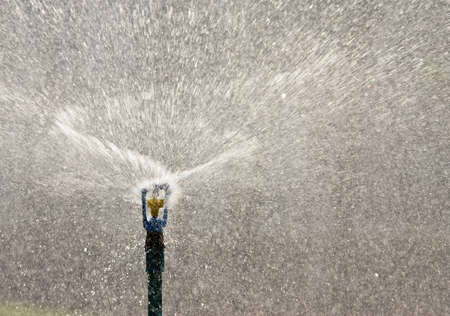 Water from sprinklerの写真素材