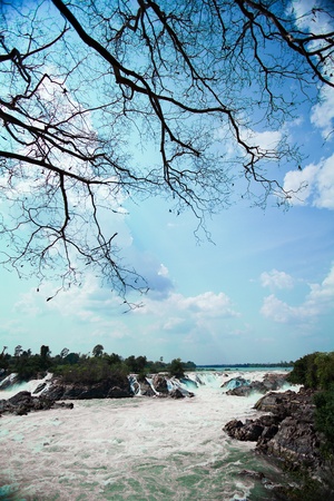 Waterfall in tropical forestの写真素材