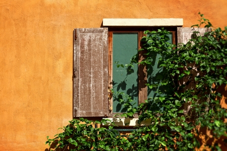 Wall and window with creeperの写真素材