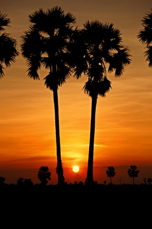 Colorful sky at sunset in tropical countryの写真素材