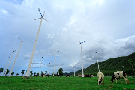 Wind turbines in farm and blue skyの写真素材