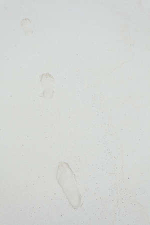 Human footprint on white sand beachの写真素材
