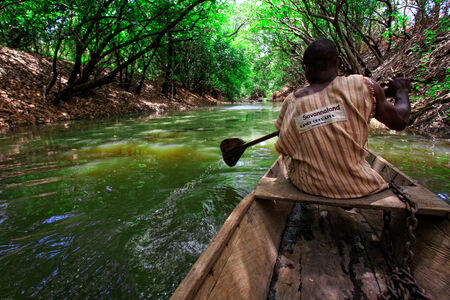 Ghanaian rower taking tourist to see jungle with native style canoe, Ghanaのeditorial素材