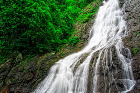 Waterfall flowing on rock with green tree