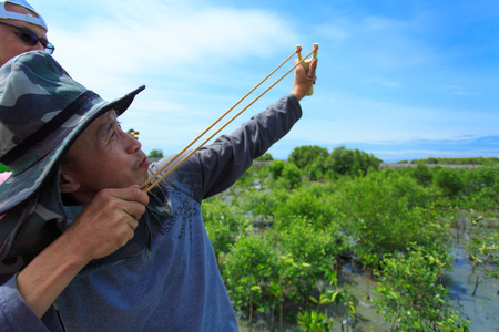 Samutsakorn Thailand, 16 September: Volunteers join together and use catapult to shoot mangrove...
