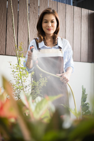 Adult Asian housewife wearing apron holding water sprayer and watering to small plant in small...