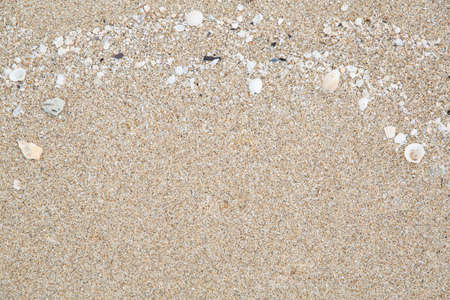 Close up shot of sand texture details with small pieces of sea shells, top view shot.の写真素材