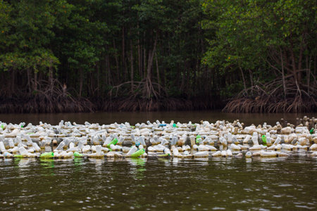 Oyster farming of eastern Thai agriculturist technic, they use old plastic bottle to hang and feed oyster in natural sea water.の写真素材
