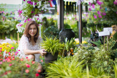 Beautiful Asian woman selecting flower in floral shop, lifestyle of modern housewife.の写真素材