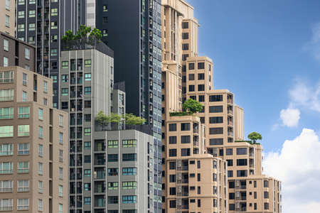 One lonely tree was planted on top of a high buildin in business center surrounded by tall skyscrapers with blue sky and white soft cloulds in background. Concept of nature living in city lifestyle.の写真素材