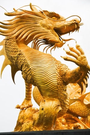 Golden dragonの写真素材