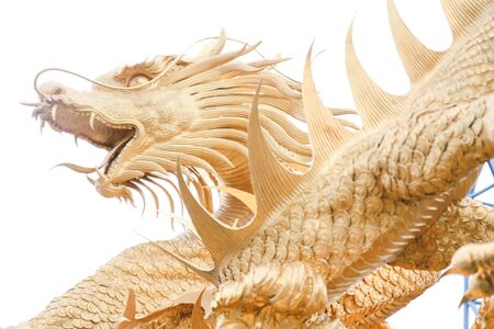 Golden dragonの写真素材