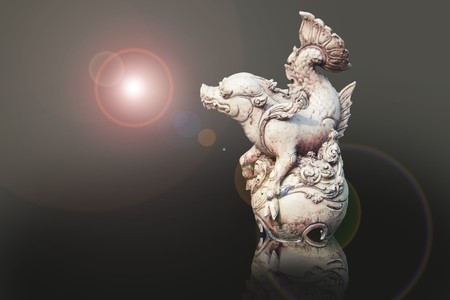 Animal designの写真素材