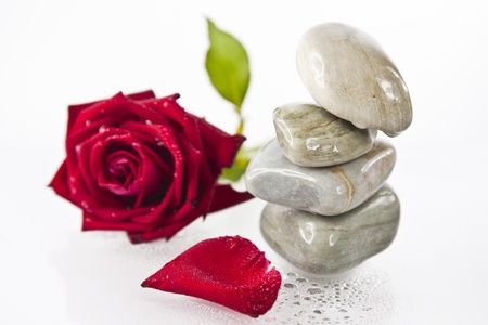 Pile rocks and red rose shallow focus  isolated on whited backgroundの写真素材